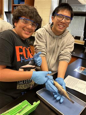 7th grade science dissection 2025 7.jpg